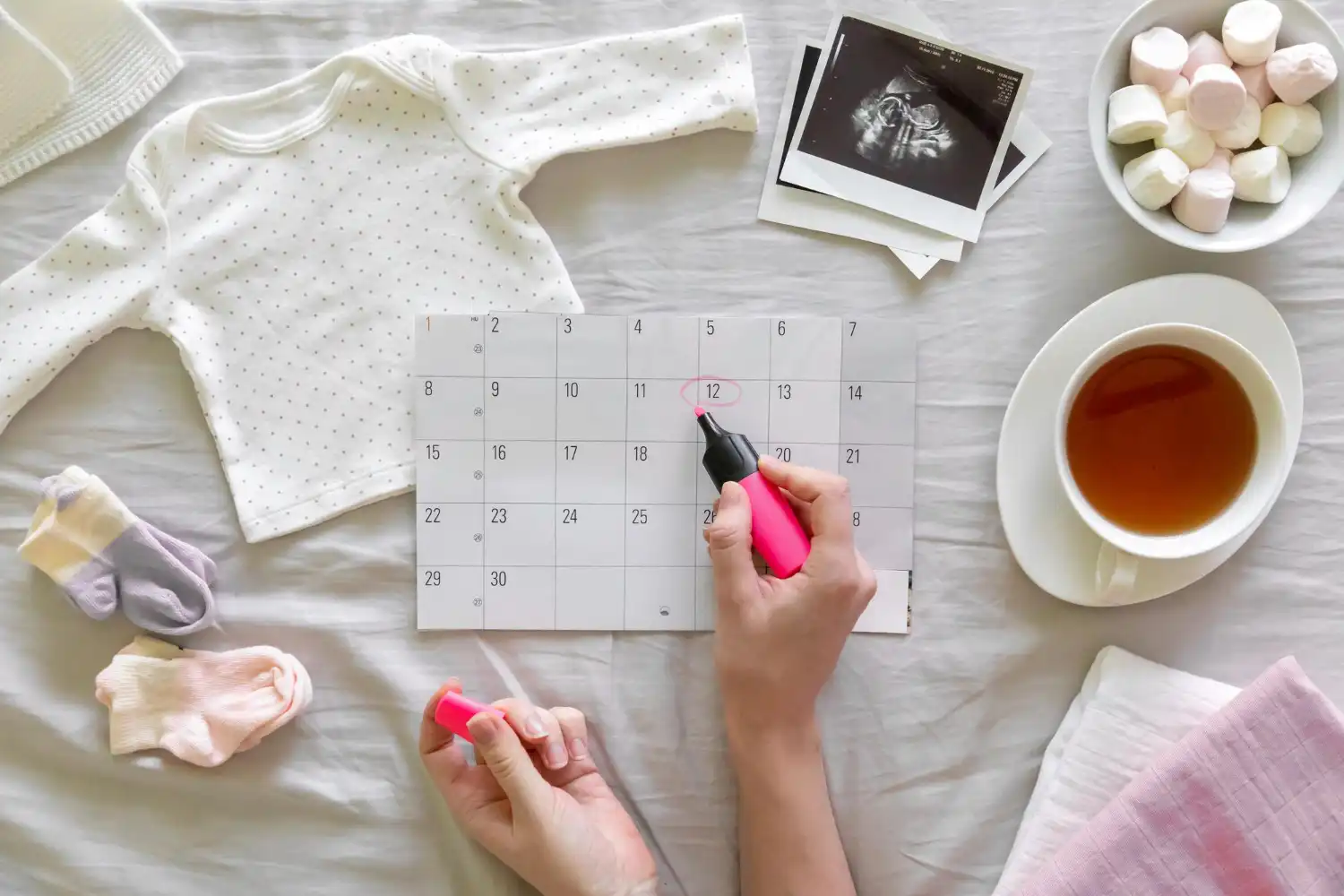 calendrier bébé