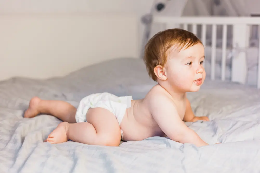 Couche bébés